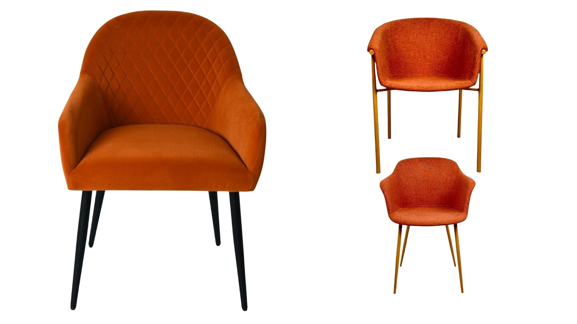 Blog naranja quemado Concepts (2) (1).jpg