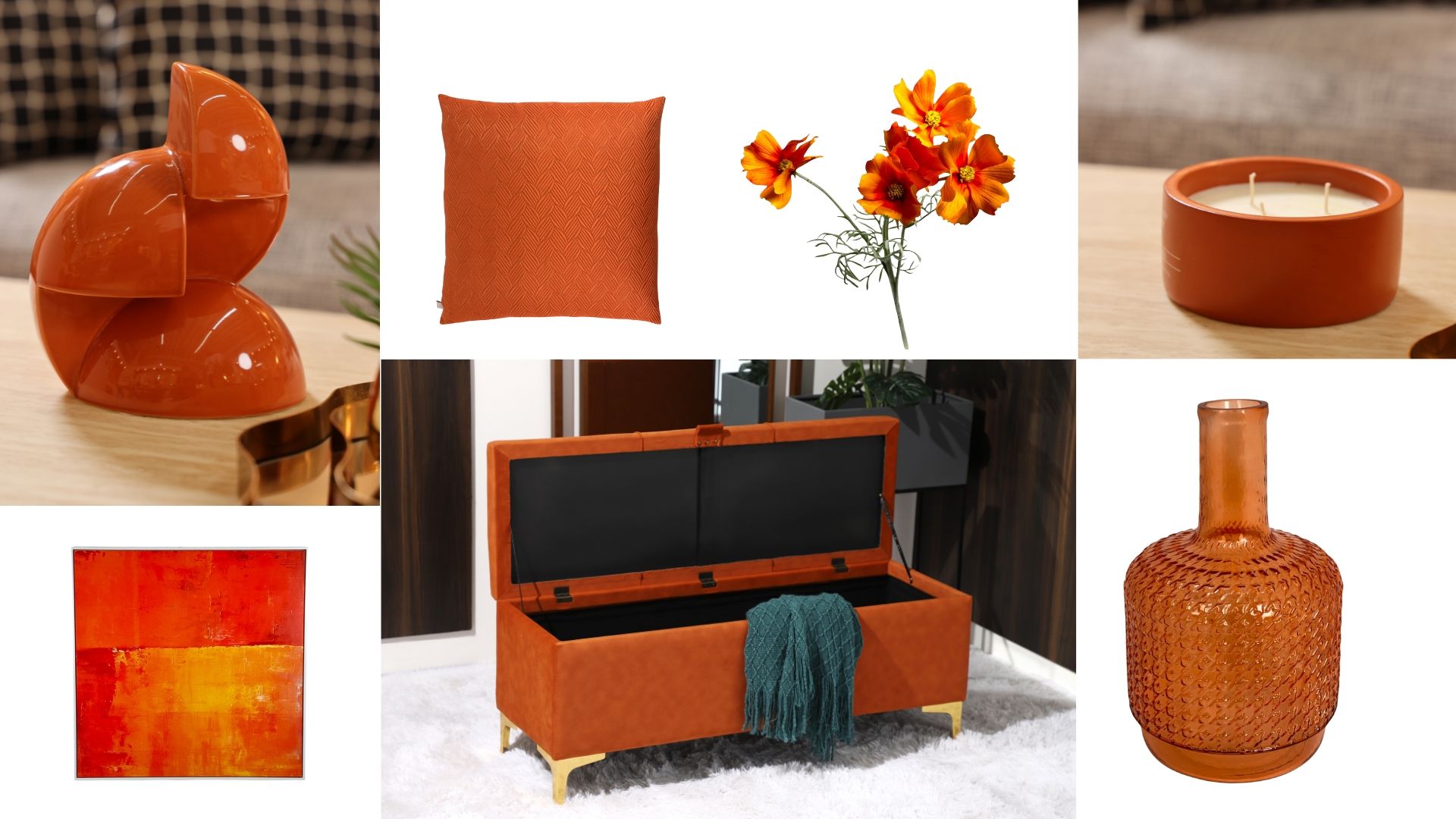 Blog naranja quemado Concepts (5).jpg